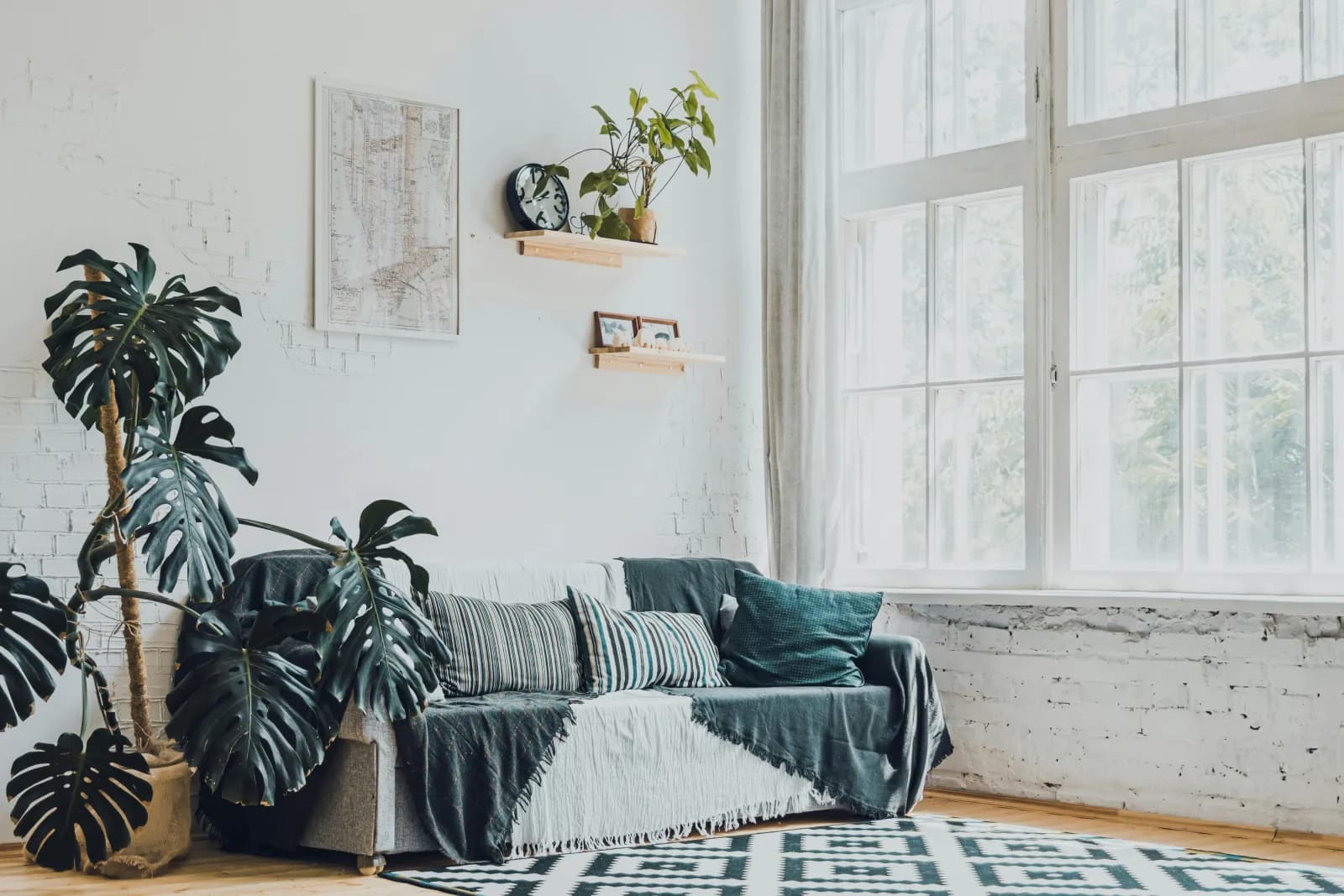 Koselig stue med monstera-planter, hvit murvegg og sofa i dagslys